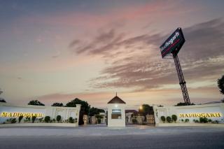 Palette - Madhogarh - 3