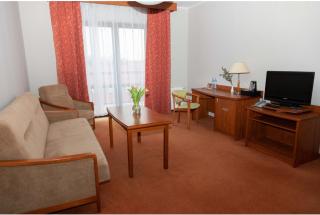 Hotel Piast - 9