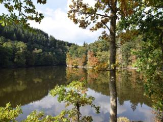 Beautiful and Authentic Cottage - Houffalize - 2