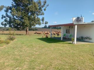 Lo Pituco casa de campo - 0