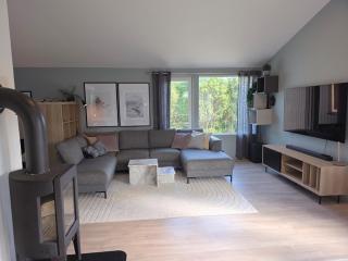 Large modern house, perfect for northern lights hunting - 8