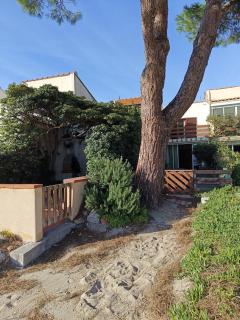 Maison Bord de lac 6 pers Parking gratuit - 4