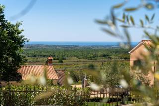 Villa La Vigna Blu - 9