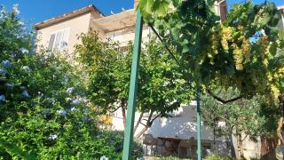 Apartment Vega with private garden, terrace and garage - 2