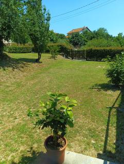 LA TANA DELLA VOLPETTA - Bed & Breakfast - Stella - 0