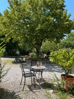 Agriturismo Collina Dei Fagiani - 1