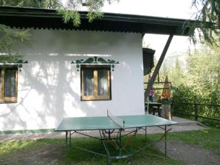 Chalet Nassfeld nahe Skipisten - 5