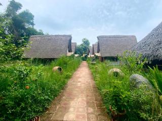 The Imagination Auroville - 9