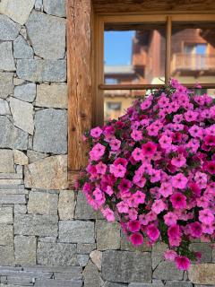 Chalet Bellavista - 8