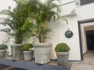D Villas - 2