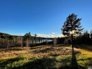 Glamping tent in a forest, lake view - 0