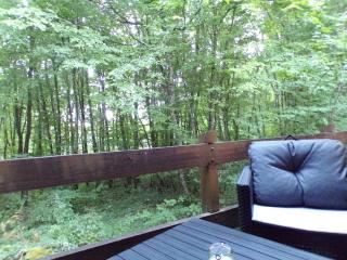 Refuge Nature - Chalet avec Terrasse vue forêt - Thury - 5