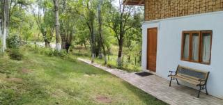 Mesteceni Glamping - 7