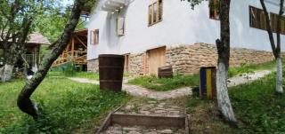Mesteceni Glamping - Nistoreşti - 9
