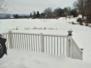 Elk Mountain Lake House and Ski Lodge! - 3