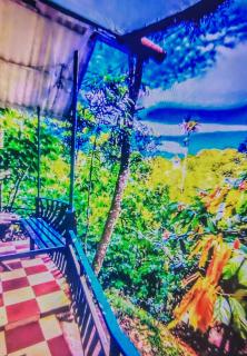 Green porticos villas munnar 2 bedroom private cottage - 9