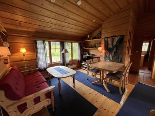 Koselig Sentral Eldre Hytte Med Peis - 7