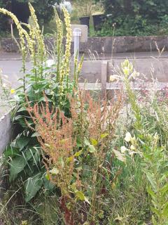 Ferienhaus Hoher Vogelsberg - Herbstein - 6