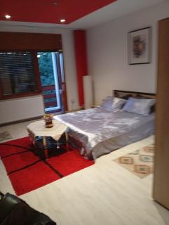 Apartament cu terasa la casa Valentin - 0