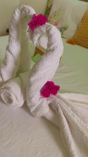 L'Écrin du colibri, a haven of peace in Martinique - 6