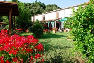 Agriturismo La Bianca Fattoria - 8