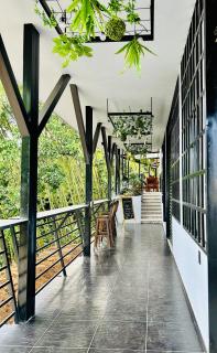 Hotel Casa Bambu - 3