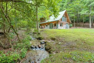 Hike, Fish and More Cozy Cabin with Patio in Murphy! - 0