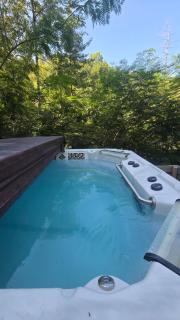 Mountain View Retreat with Large Swim Spa, Game Room - 5