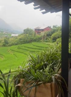 Sky View Homestay - 1