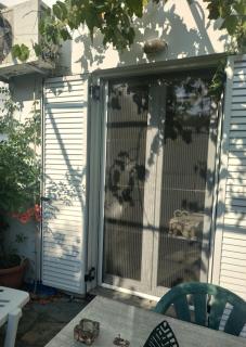 Kleines gemütliches Studio mit Terrasse, im Grünen gelegen - Agios Ioannis - 6
