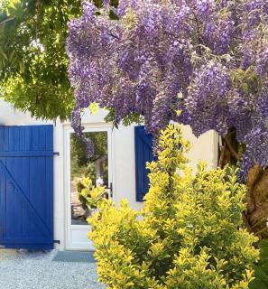 C'est une maison bleue adossée à la forêt - Mées - 0