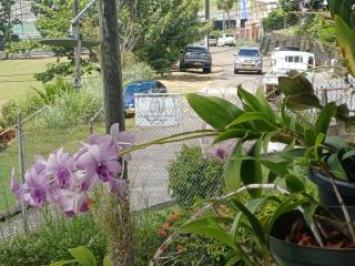 PeachBloom Terrace Inn - 5