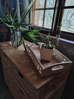 Cross Pollination Chalets & Camping - 1