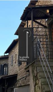 la giraffa bianca - 8