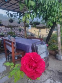 Casa Familiar - Antigua Guatemala - 9