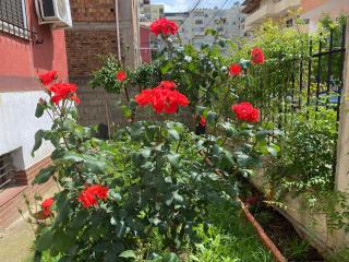 Red Rose Guesthouse - 0