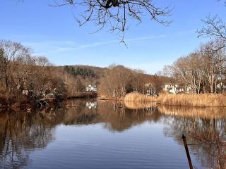 Private Modern 1st Flr 3 Bed Apt Close to Downtown - 7