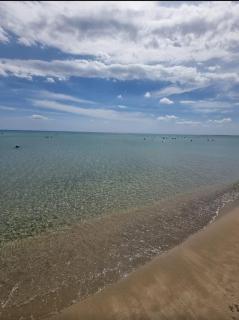 Appartement - El Haouaria - 8