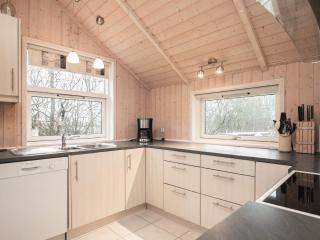 5 star holiday home in Vinderup - 1