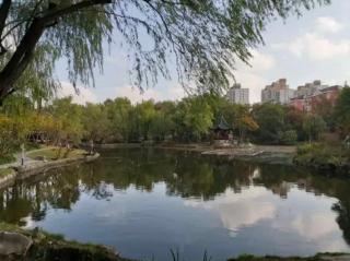 Cozy 1BR 9-Min to Hongqiao NECC - 1