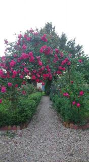 Vieille France - Saint-Florentin - 6