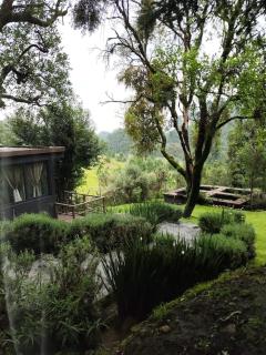 Orgánico Hotel Boutique - 5