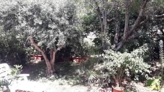 A garden on the bay - 8