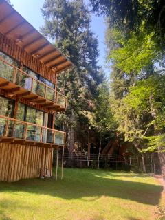 ECHIVITI Cottages in Abastumani - 7