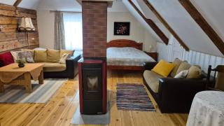 Mulgi Apartment - Viljandi - 6