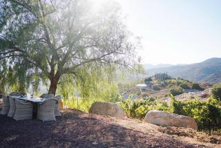 Villa on 5 Acre Vineyard Equestrian Estate, Pool & Hot tub, Events - 4