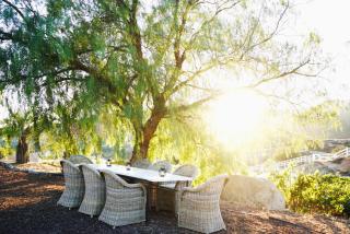 Villa on 5 Acre Vineyard Equestrian Estate, Pool & Hot tub, Events - 5