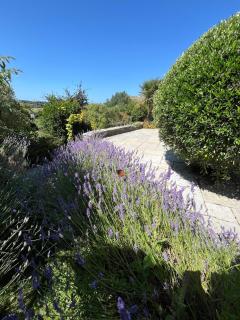 Purbeck - Dorset, Idyllic 4 Bed Thatched Cottage - 6