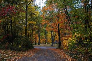 KOA Catskill Mountains Dome 1 - Gilboa - 1