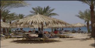 Jazz sharm dream vication clup - 2